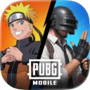PUBG国际服手游2026最新版本_ico